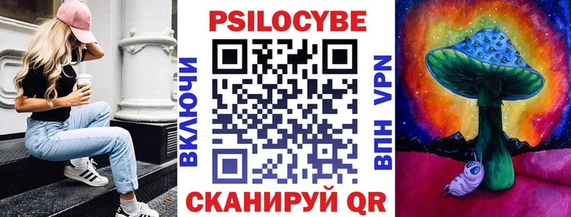 Псилоцибиновые грибы Cubensis  Трубчевск 